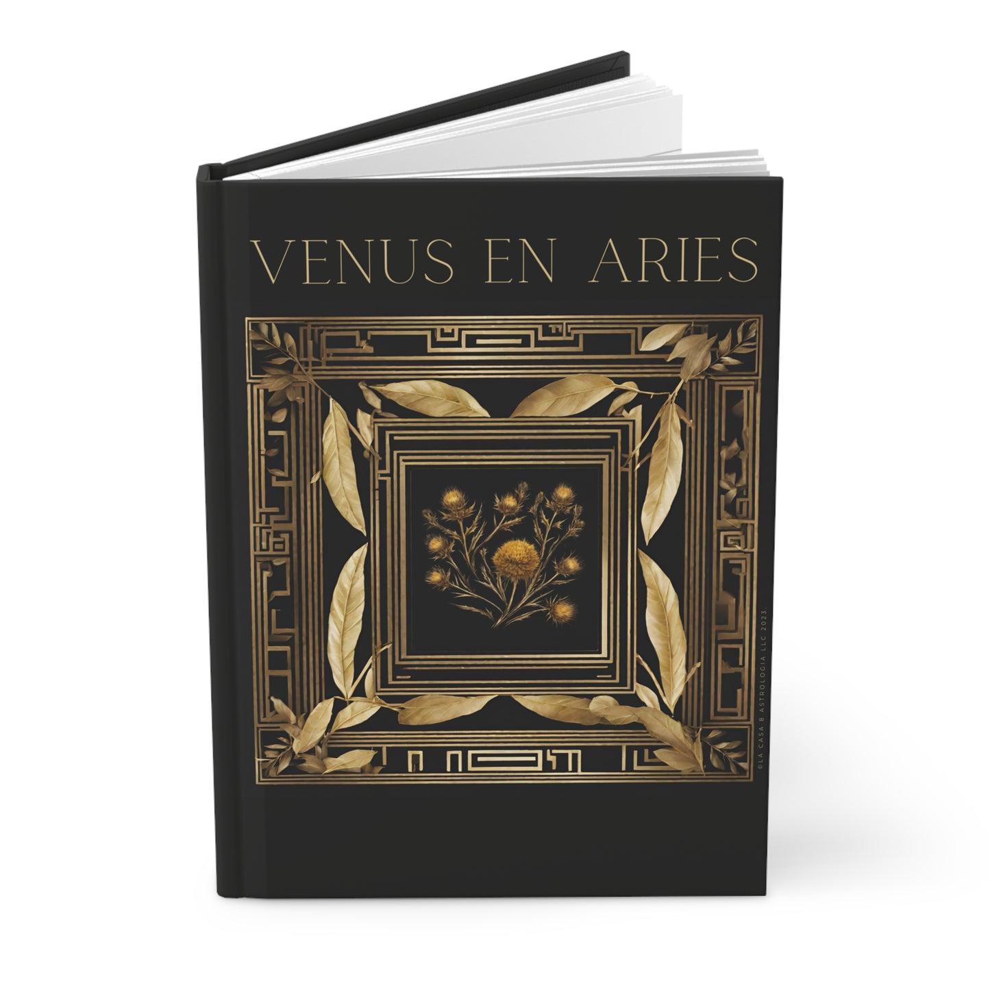 Venus in Aries Diary