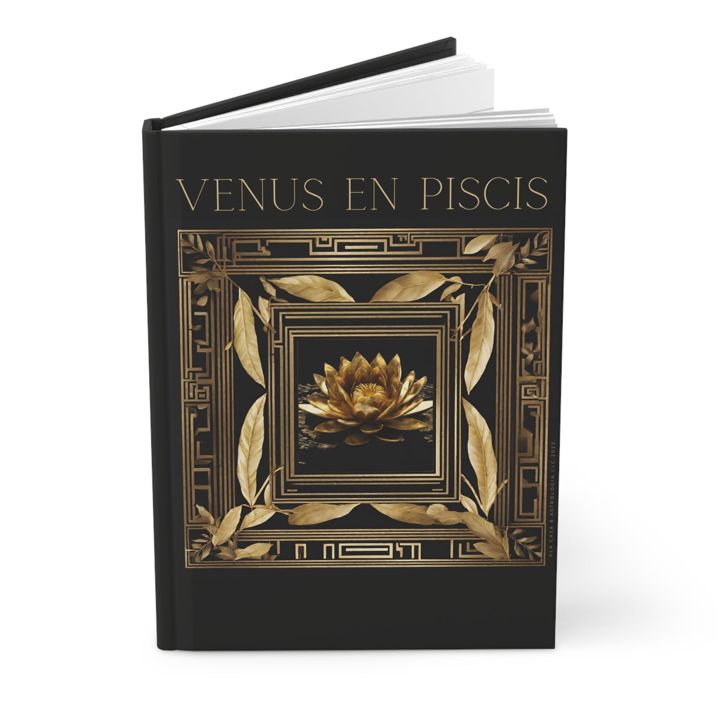 Venus in Pisces Diary