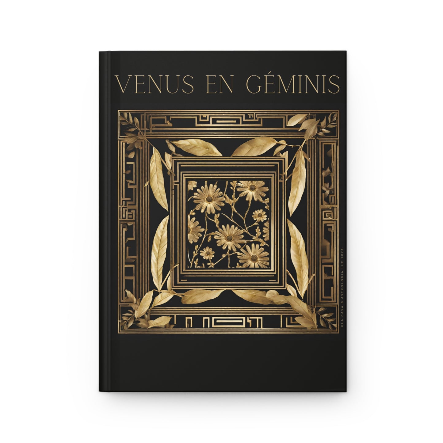 Venus in Gemini Diary